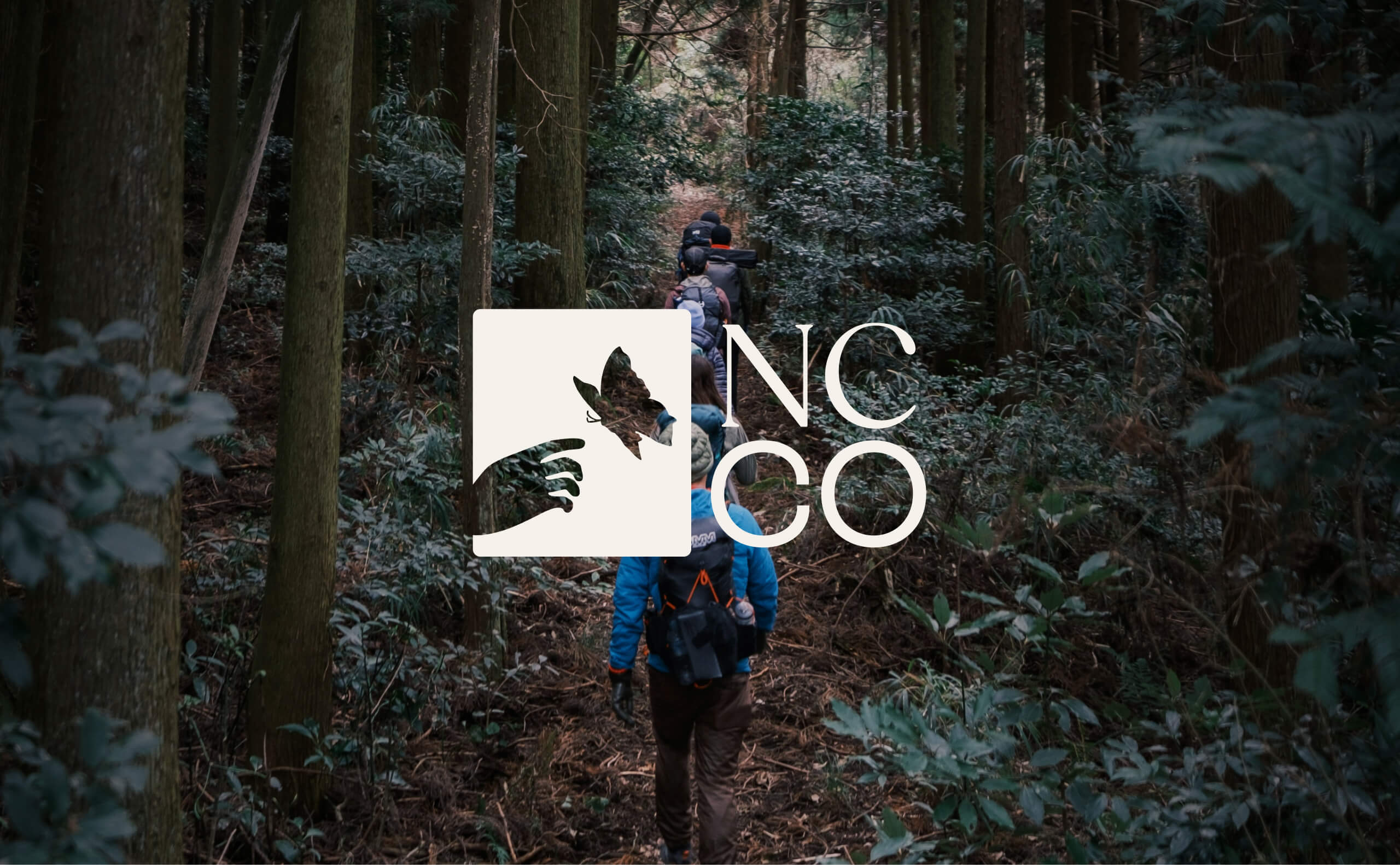 Four people hiking through a dense, green forest, overlaid with a square logo of a hand reaching for a butterfly alongside the letters ‘NC CO.’