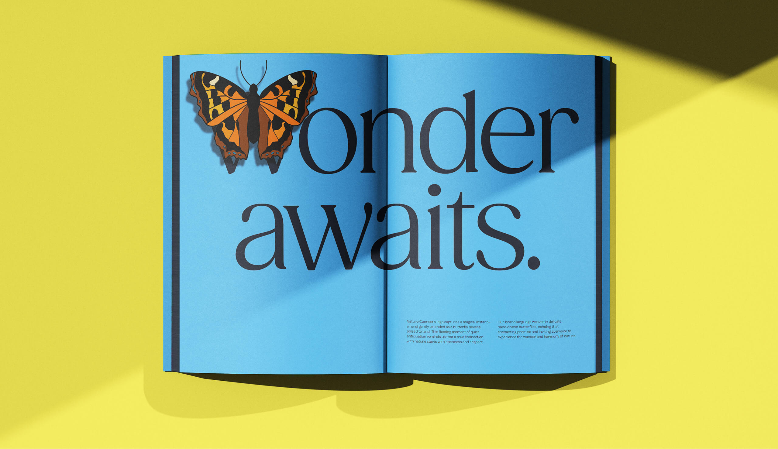 An open magazine displaying the words ‘Wonder awaits’ in large blue text with a vibrant orange-and-black butterfly perched above the letters.