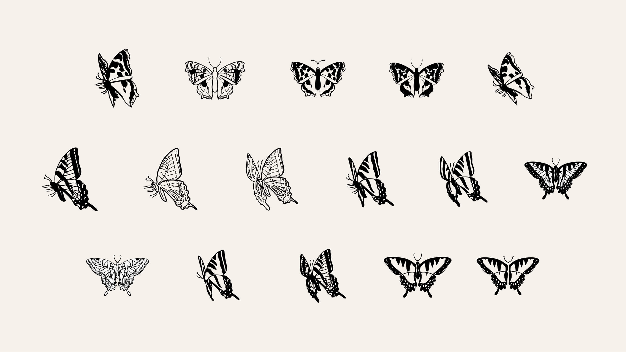 A grid of fourteen butterfly illustrations in black outlines on a cream background, each showing a unique wing shape and pattern.