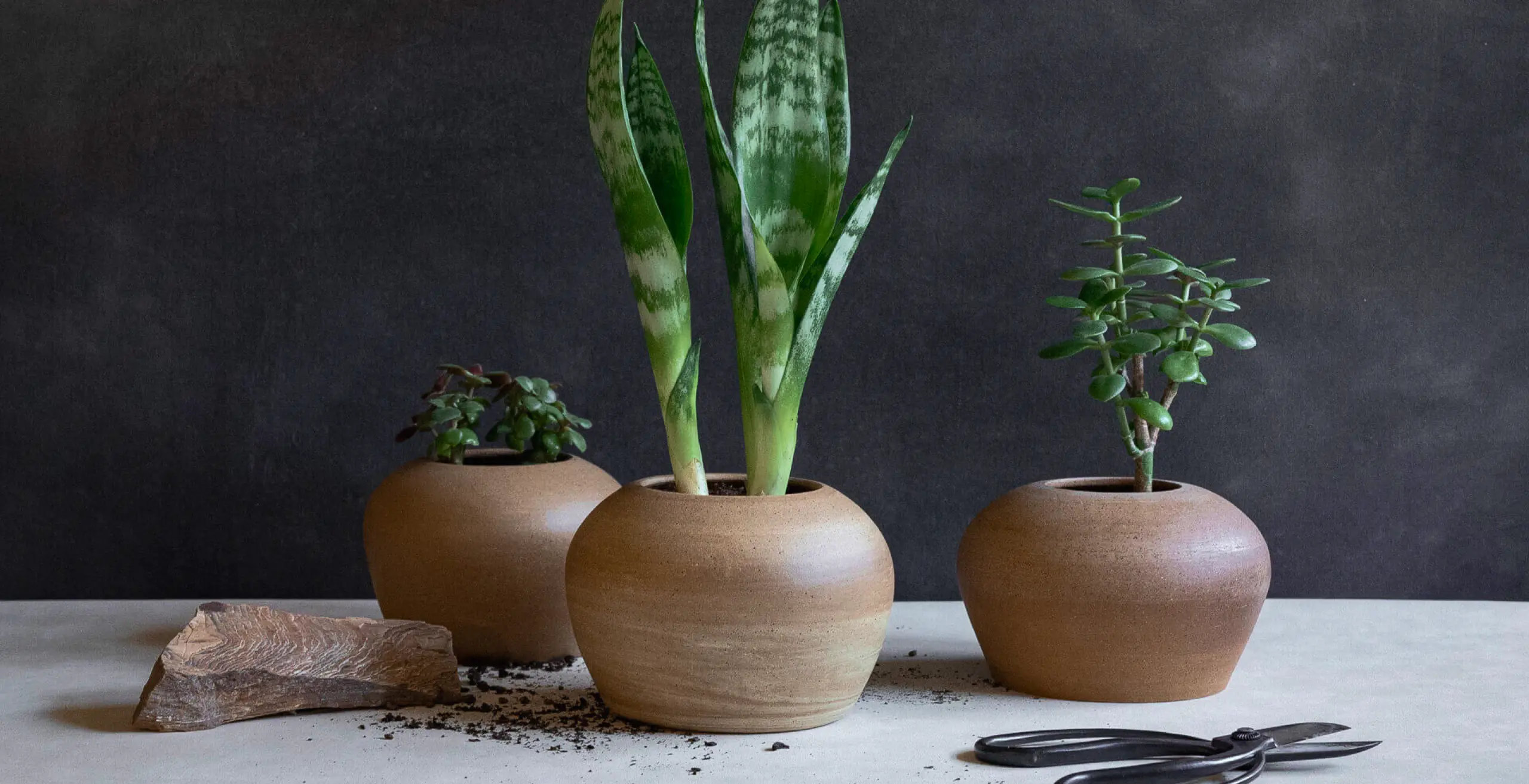 Handcrafted ceramic showcasing product staging and photography lit by natural light