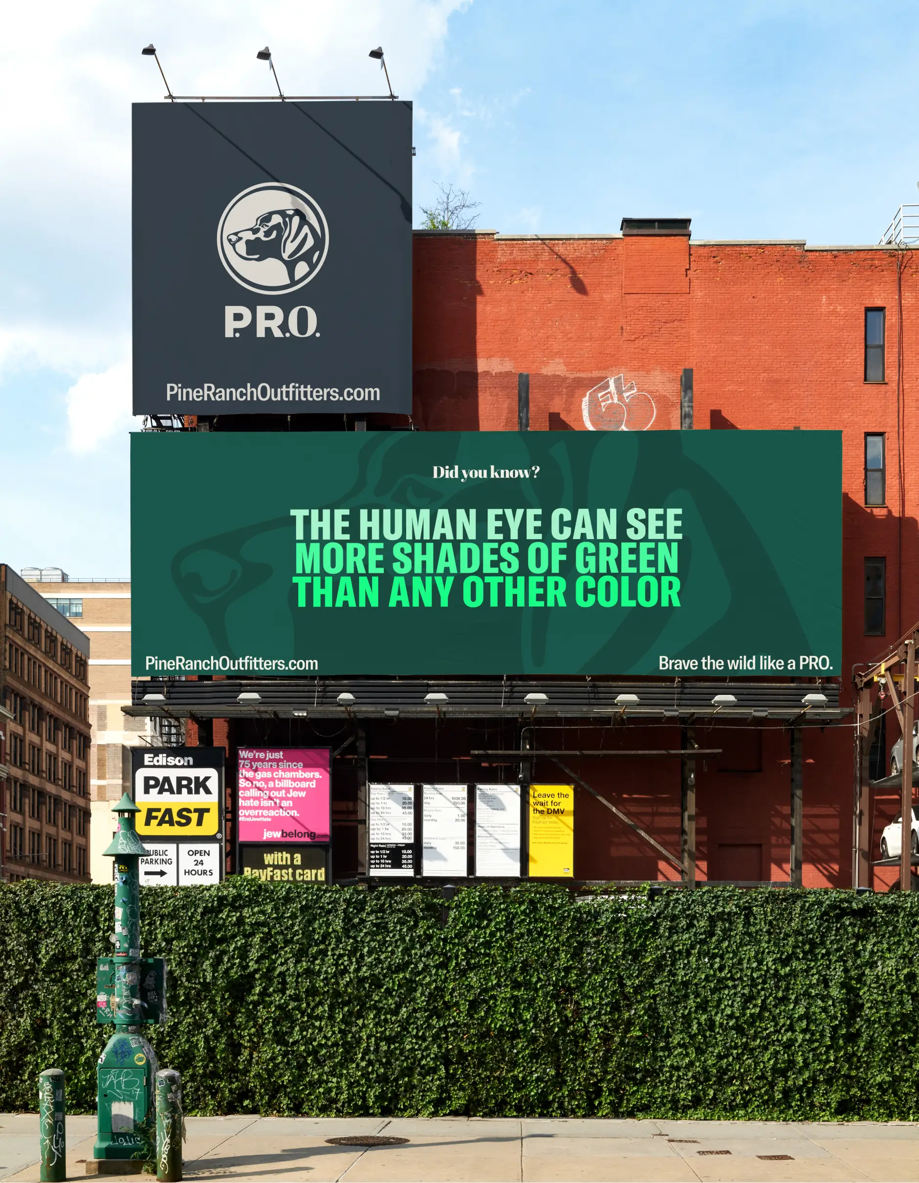 Pine Ranch Outfitters ads on side of building in nyc saying "did you know the human eye can see more shades of green than any other color?"