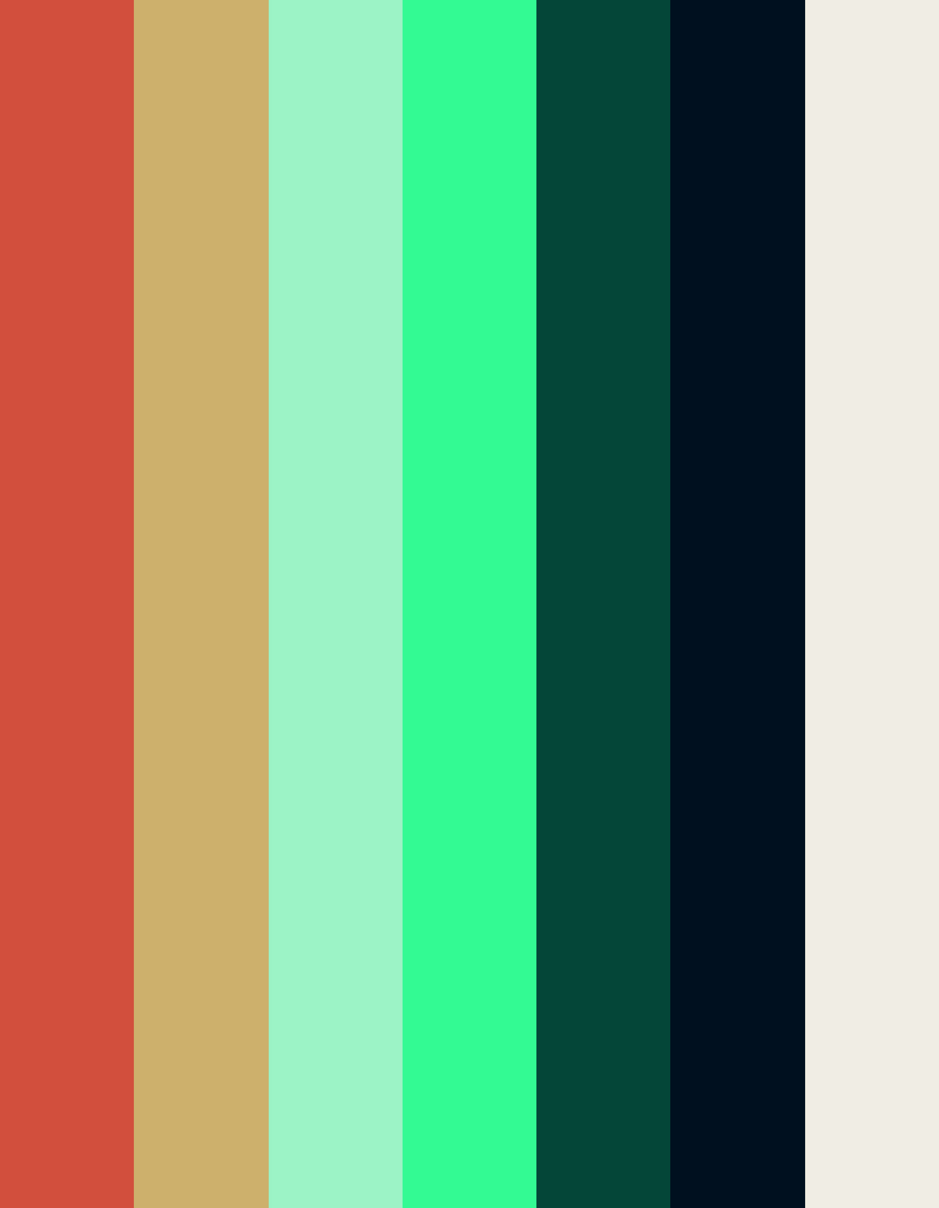 Pine Ranch Outfitters color palette bands