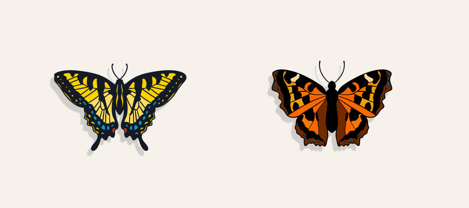 Two illustrated butterflies on a light background: one in yellow with black and blue details, the other in orange with bold black stripes.”